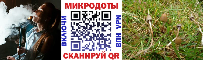 Купить где  Абинск  Галлюциногенные грибы MAGIC MUSHROOMS 