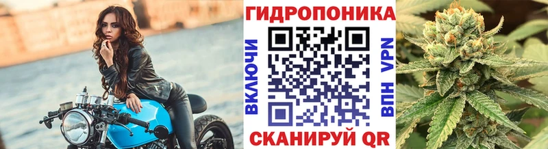 Бошки Шишки планчик  Купить где  Абинск 